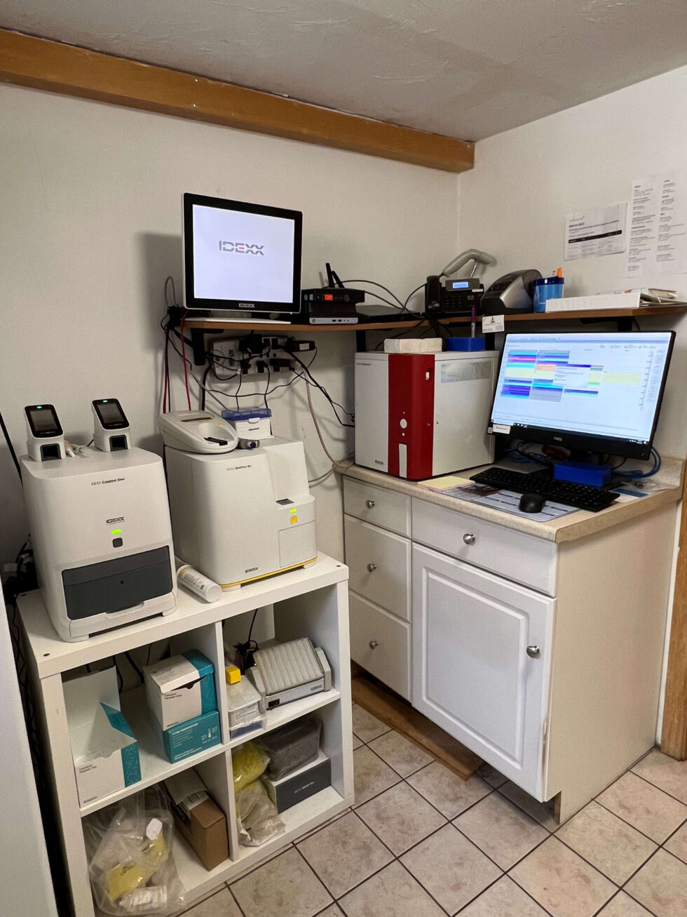 Animal visual data 6