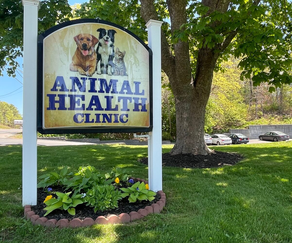 Animal Health Clinic Front Entrance